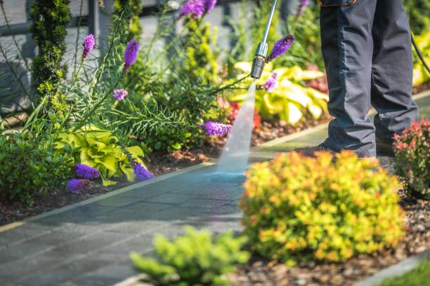 Best Winterizing Services  in Arcadia, FL